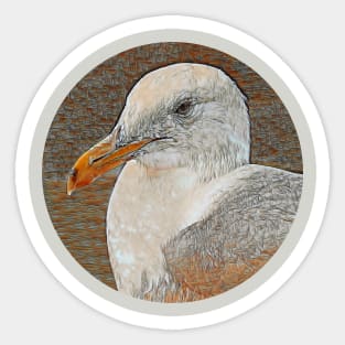 Gull Close-Up No.1 Sticker